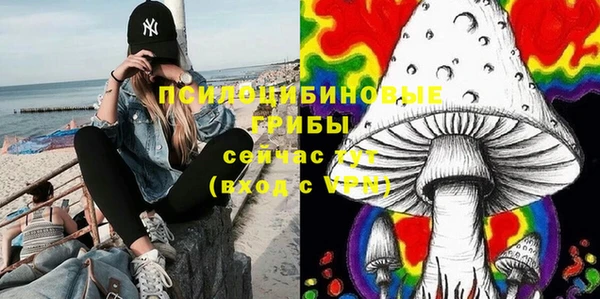 индика Алексеевка