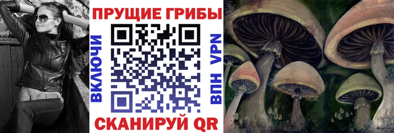 Купить закладки  Ильский  Галлюциногенные грибы Psilocybe 